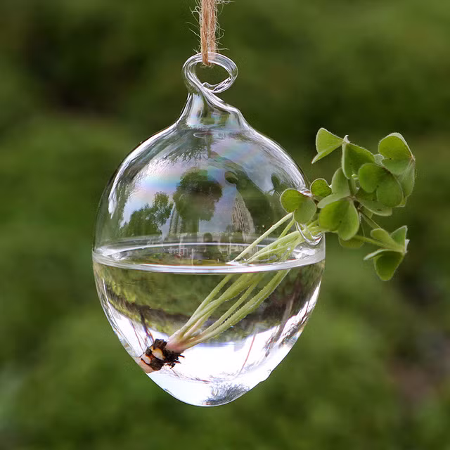 Từ lâu tiểu cảnh Terrarium trở thành một thú chơi được nhiều ưa thích bởi sự xinh xắn như khu vườn nhỏ đáng yêu. Ảnh: AliExpress.
