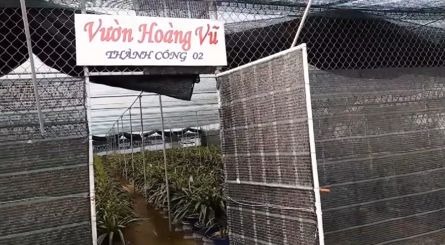 Vườn lan hoàng vũ sở hữu hơn 2.000 chậu lớn nhỏ. Ảnh: Youtube.