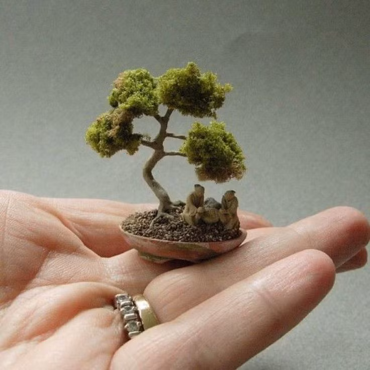 Vài năm gần đây, giới chơi cây cảnh rộ lên phong trào trồng bonsai mini chỉ nhỏ bằng đầu ngón tay. Ảnh: Printest.