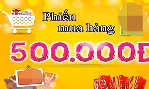 Voi 500 ngan, chon qua y nghia tang thay co ngay 20/11-Hinh-2