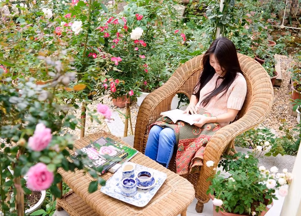 Khu vườn bình yên của chị Lê Bích Hạnh (Hoàng Mai, Hà Nội) đang trồng gần 300 gốc hồng quý. Ảnh: VNM - PL.XH.