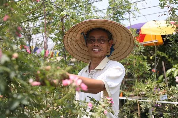 Ông Đào Mạnh Hùng (Tam Hiệp, Thanh Trì, Hà Nội) được giới yêu hoa biết đến bởi sở hữu vườn hồng cổ 2 vạn gốc quý hiếm. Ảnh: Vietq.