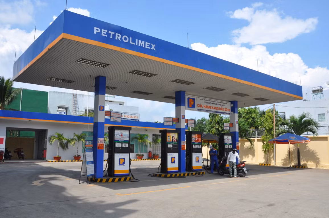 Thanh tra Chinh phu chi nhieu sai pham, TGD Petrolimex chi rut kinh nghiem