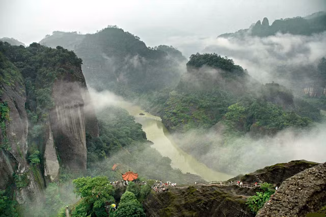 Vùng núi Vũ Di quanh năm sương mù bao phủ và cao 600m so với mực nước biển, nơi còn sót lại những cây trà cổ hiếm có.