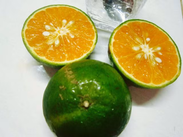 Ăn thực phẩm này cả đời không phải lo ung thư vú - Hình 2 An thuc pham nay ca doi khong phai lo ung thu vu-Hinh-2