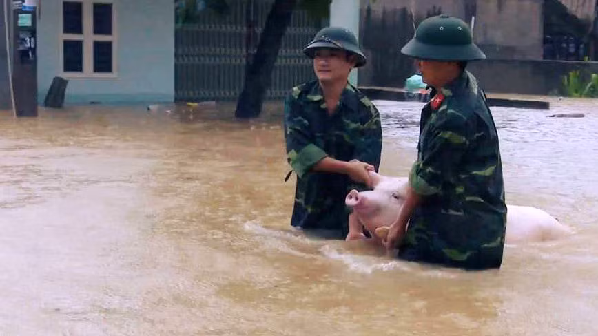 Bộ đội huyện Bá Thước (Thanh Hoá) giúp dân sơ tán tài sản vật dụng. Nguồn ảnh: Vietnamnet