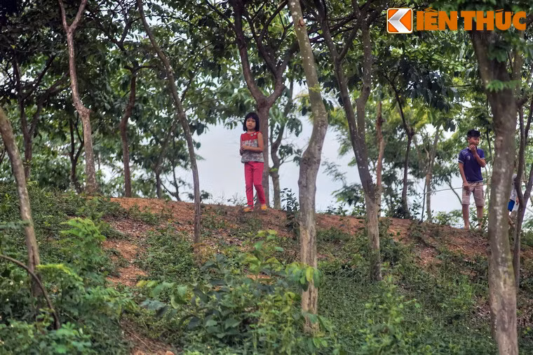 Căn cứ trên các vết tích, giới khoa học xác định thành có 3 vòng. Vòng ngoài chu vi 8 km, vòng giữa 6,5 km, vòng trong 1,6 km. Trong đó, vòng thành nội có thể đã được làm về sau, thời Ngô Quyền.