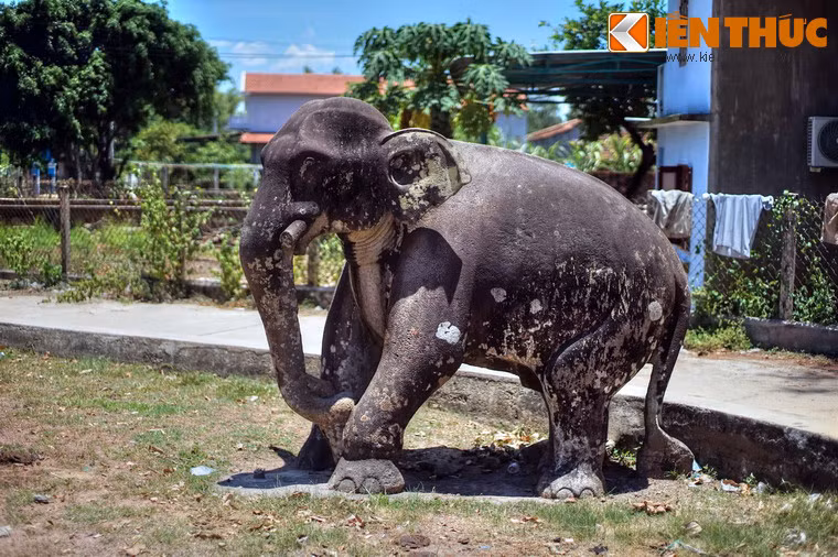 Hai bên lối vào thành cổ có cặp voi đá được đặt đối xứng, gồm một voi lớn và một voi nhỏ. Trong đó, voi lớn cao tới 2m, được coi là tượng voi lớn nhất từng được biết tới của điêu khắc Chăm.