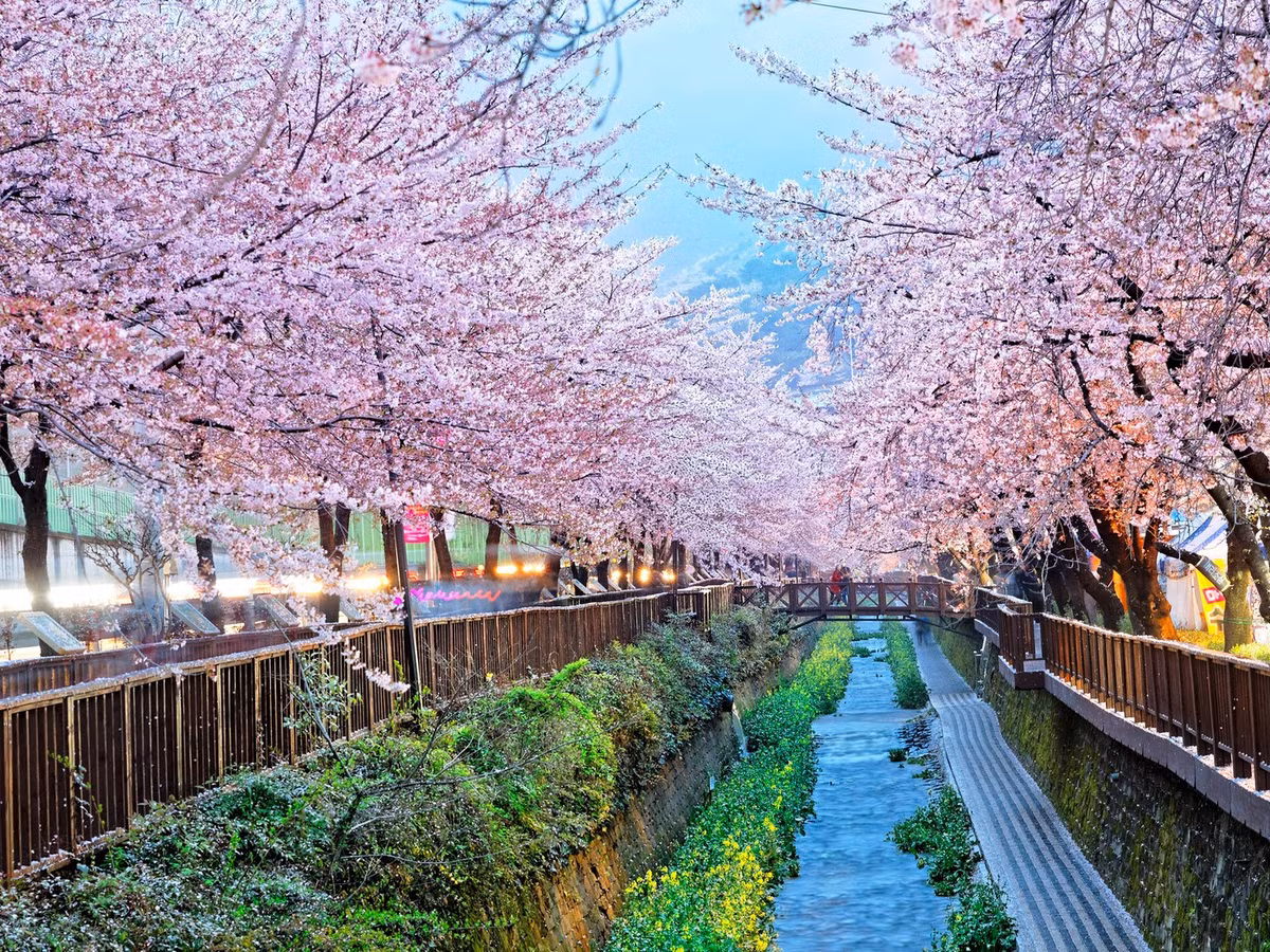Thành phố Busan, Hàn Quốc hấp dẫn du khách bởi những bãi biển đẹp như Haeundae, Gwangalli.