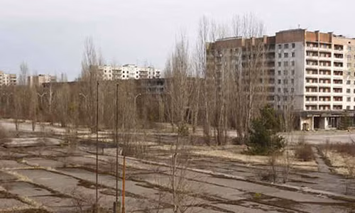 Cây cối, cỏ dại mọc khắp nơi sau khi Pripyat không còn người sinh sống.