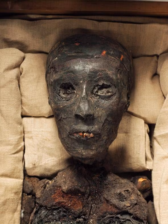 Xác ướp pharaoh Tutankhamun là một trong những xác ướp nổi tiếng nhất thế giới. Được phát hiện năm 1922, xác ướp nhà vua Ai Cập này khiến giới khoa học kinh ngạc bởi còn gần như nguyên vẹn.