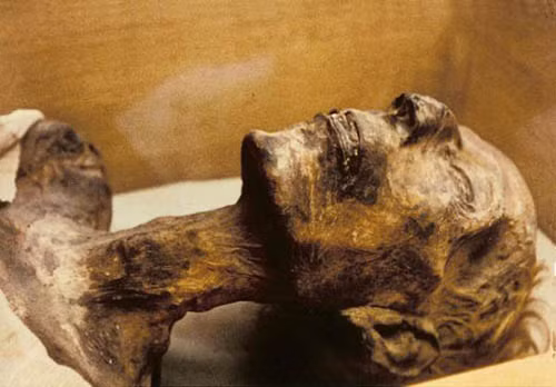 Xác ướp pharaoh Ramesses II nổi tiếng với mái tóc màu đỏ. Đối với người Ai Cập thời cổ đại, mái tóc đỏ giống như sự liên kết với thần Seth, vị thần đã giết chết thần rồng Osiris.