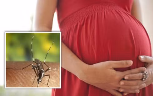 83 người ở TP HCM nhiễm zika 83 nguoi o TP HCM nhiem zika