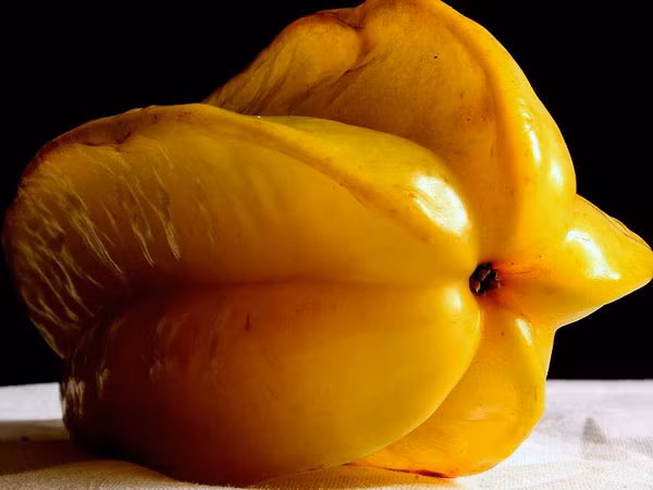 Khế sẽ gây nguy hiểm cho sức khỏe nếu như bạn mắc bệnh thận. Loại quả này cũng chứa độc tố với thần kinh, có thể ảnh hưởng tới não và hệ thần kinh một cách nặng nề.