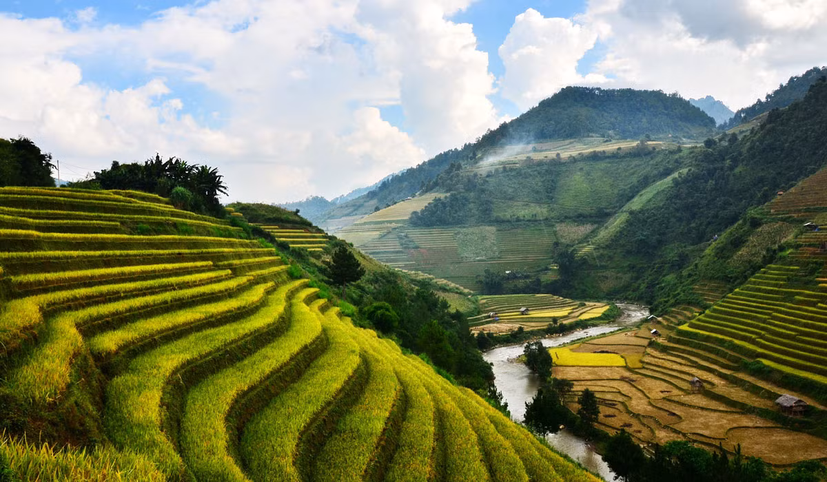 Đường lên Mù Cang Chải tuy xa và khó khăn song rất thú vị. Quang cảnh thay đổi liên tục trên đường, du khách chưa kịp ngắm hết những ngôi nhà sàn Thái trên cánh đồng Mường Lò rộng lớn với bạt ngàn hoa ban trắng đã được đến với những con đường quanh co, uốn khúc trên các sườn đồi dốc đứng.