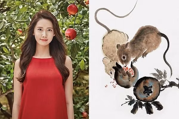 Trong tính cách thì người tuổi Tý vốn ôn hoà nên đi đâu cũng có quý nhân giúp đỡ. Trong thời gian này chính là khoảng thời gian tốt mang tới nhiều cơ hội giúp tuổi Tỵ phát huy được hết khả năng bản thân. 