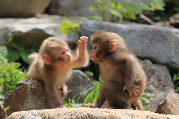 Bản mệnh còn có khả năng mua nhà mới hoặc ít nhất là lên đời theo một cách nào đó. 