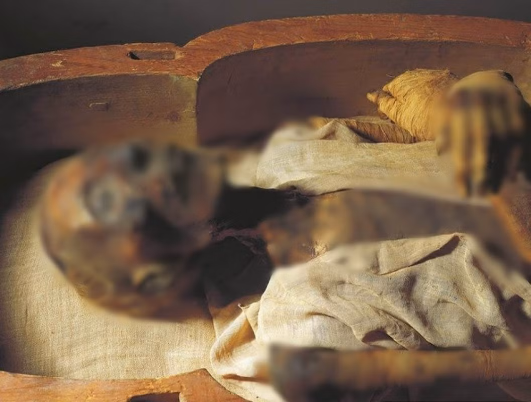 Với tài trị quốc, pharaoh Ramesses II đã đưa ra nhiều chính sách quan trọng phát triển các lĩnh vực như kinh tế, chính trị, văn hóa..., góp phần đưa vương triều Ai Cập bước vào thời kỳ thịnh vượng.