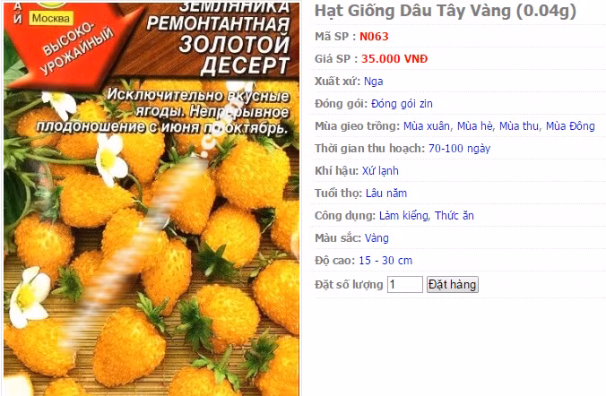 Trên thị trường, giá hạt giống dâu tây vàng dao động từ 35.000 - 40.000 đồng/gói. Khảo sát một số trang bán hàng trực tuyến, giá hạt giống dâu tây vàng từ 2 - 3 USD/gói.