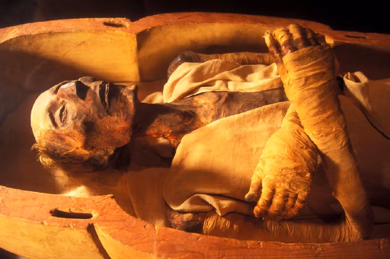 Xác ướp Ramesses II. Ramesses II, còn được gọi là Ramesses Đại đế, là một trong những pharaoh Ai Cập nổi tiếng nhất mọi thời đại. Ramesses II trị vì gần 60 năm và qua đời khi ông khoảng 90 tuổi. Nhiều nguồn tin cho rằng ông có tới hơn 100 người con.