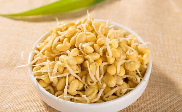 2. Mầm đậu nành. Đậu nành giàu protein, chất chống oxy hóa và chất béo tốt. Khi đi vào cơ thể, chất chống oxy hóa chống lại tác động của các gốc tự do, bảo vệ cơ thể khỏi bệnh tật.