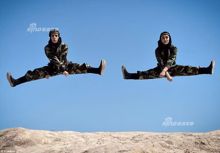 Những thành viên trong đội sát thủ Ninja Ranger đều là những người có học thức rất cao. Họ có thể nói được nhiều thứ tiếng, hiểu biết về nhiều nền văn hóa trên thế giới và có một vài nghiệp vụ cơ bản trong một số lĩnh vực như kinh doanh, thương mại,... Tất cả những kiến thức đó đều rất hữu dụng trong việc xây dựng vỏ bọc trong những nhiệm vụ nguy hiểm họ sẽ phải đảm nhận. Nguồn ảnh: Sina.