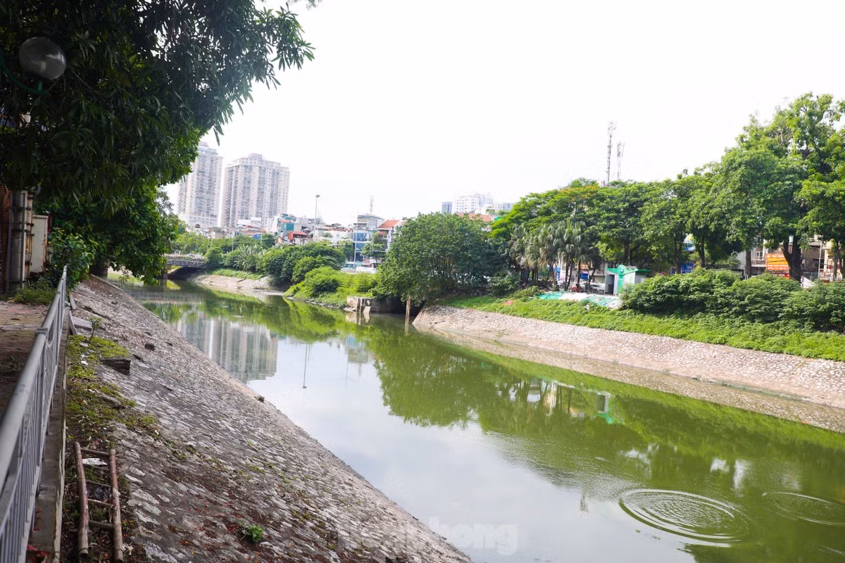 1. Mới đây, vào ngày 30/6/2024, nước sông Tô Lịch bất ngờ chuyển sang màu xanh lục. Sự thay đổi màu sắc này khiến nhiều người dân và chuyên gia ngạc nhiên. (Ảnh: Tiền phong)