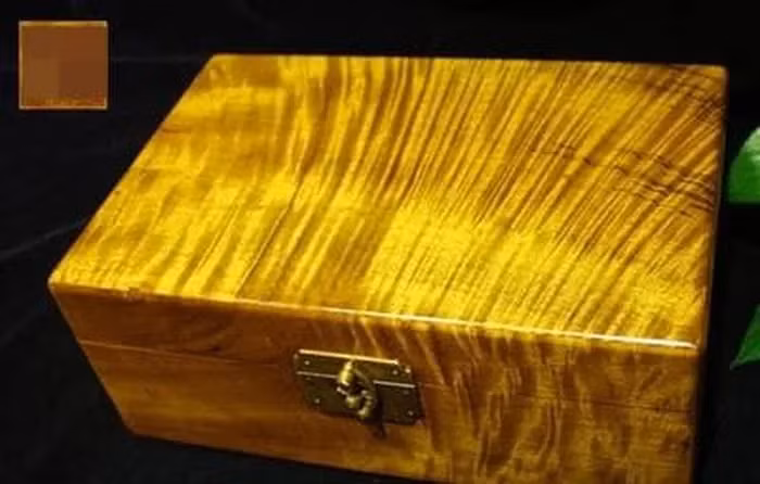 Quá trình trồng nanmu vàng đầy rẫy bấp bênh và rủi ro cao. Thời tiết khắc nghiệt, thiên tai và các yếu tố bất ngờ khác có thể ảnh hưởng xấu đến sự phát triển của cây, khiến cho việc đầu tư trồng nanmu vàng trở nên không khả thi trên quy mô lớn. Do đó, mặc dù gỗ nanmu vàng có giá trị kinh tế rất cao, nhưng rất ít thương nhân sẵn sàng đầu tư vào việc trồng loại cây này.