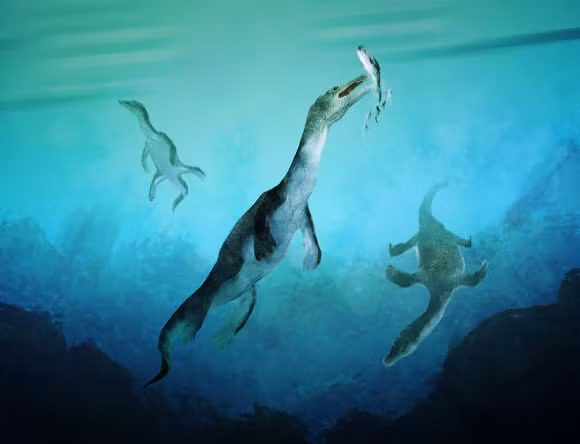 Một loài thủy quái mới, thuộc nhóm Nothosaurs, đã được xác định sau nửa thế kỷ kể từ khi hóa thạch của nó được phát hiện trên một hòn đảo ở New Zealand. Nghiên cứu do TS Benjamin Kear từ Bảo tàng Tiến hóa thuộc Đại học Uppsala dẫn đầu, cho biết loài này tung hoành các vùng biển hàng triệu năm trước khi khủng long thống trị đất liền.