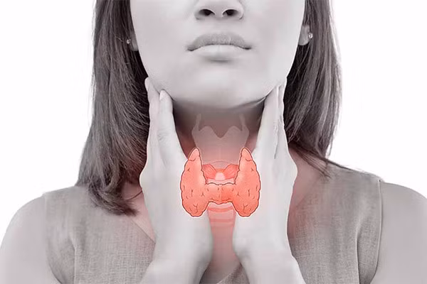 Suy giáp. Khi mắc suy giáp, người bệnh sẽ có triệu chứng sợ lạnh, da nhợt nhạt, giảm trí nhớ, khô da, rụng tóc... điều này bắt nguồn từ việc tuyến giáp là cơ quan nội tiết, tham gia quá trình trao đổi chất, điều hòa nhiệt độ cơ thể cùng với adrenaline. Do vậy, một khi chức năng sinh nhiệt của cơ thể suy giảm kèm các triệu chứng trên thì bạn nên đi khám chuyên khoa nội tiết.
