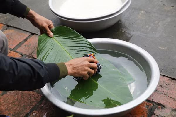 Muốn bánh chưng để được lâu, người làm cần tỉ mỉ từng khâu chuẩn bị lá cho đến khâu bảo quản. Cụ thể, ngay từ khâu gói bánh, bạn nên rửa lá thật kỹ, để ráo nước. Tiếp đó, chần hoặc luộc lá qua với nước nóng nhằm loại bỏ vi khuẩn.