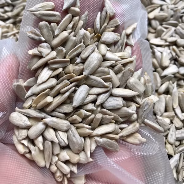 Hướng dương khi mốc chứa thành phần aflatoxin. Được biết, aflatoxin (AFT) là độc tố vòng difuran được tạo ra bởi một số chủng như Aspergillus flavus và Aspergillus parasiticus.