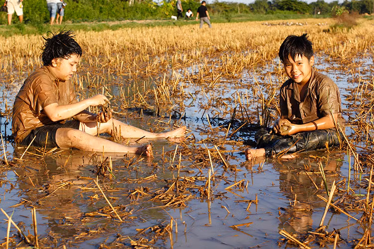 Ngoài Will, Đình Hiếu và Oanh Kiều, bộ phim "Dạ cổ hoài lang" còn có sự tham gia Trọng Khang – Thanh Mỹ - Hoàng Quân trong vai Tư Lành - Năm Triều - Út Trong lúc bé.