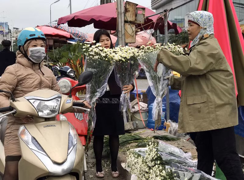 Cúc họa mi bán tại chợ hiện giá khoảng 30.000 đồng/bó nhỏ, bó to giá tầm 80.000 đồng