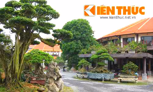  4. Khu vườn 5.000 đại thụ cổ quái của đại gia Phiến “cá” Giới chơi cây cảnh trong cả nước ai cũng đều biết đến đại gia Phiến “cá” ở Việt Trì, Phú Thọ - tên đầy đủ là Nguyễn Văn Phiến, sinh năm 1956, quê gốc Thái Bình với khu vườn 5.000 đại thụ cổ quái