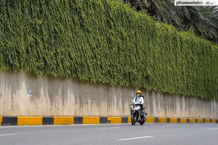 Trước vẻ đẹp của đường hầm với dải cây xanh kéo dài hơn trăm mét, nhiều người coi đây là một trong những con đường đẹp, lãng mạn của Thủ đô và liên tưởng tới một thành phố rất xanh là Singapore.