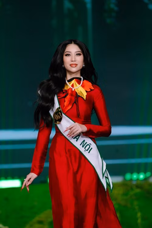 Trong đêm chung kết, Đỗ Thị Lan Anh "đánh bại" 29 cô gái khác để giành vương miện. Ảnh: VOV.