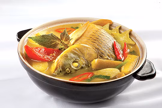 Người mắc các bệnh này ăn cá chép có thể gây độc chết người - Hình 2 Nguoi mac cac benh nay an ca chep co the gay doc chet nguoi-Hinh-2