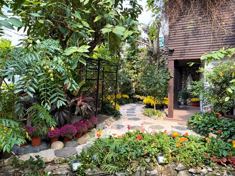 Trong biệt thự, Đàm Vĩnh Hưng trồng rất nhiều hoa đến đón năm mới. Ảnh: FB Đàm Vĩnh Hưng.