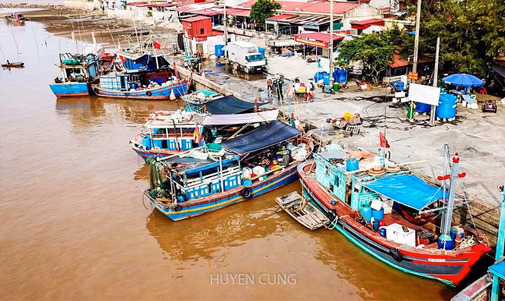 Mua he “doan vien” cua cac gia dinh ngu dan tren cang ca Ngoc Hai