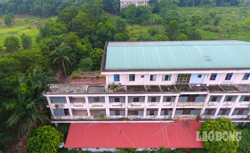 Những toà nhà hiện đại "nằm bất động" không ai ngó ngàng và bốc lên mùi ẩm mốc khó chịu.