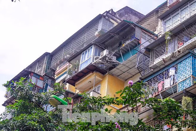 'Chuong cop' bao phu khu chung cu dac dia Thu do-Hinh-4