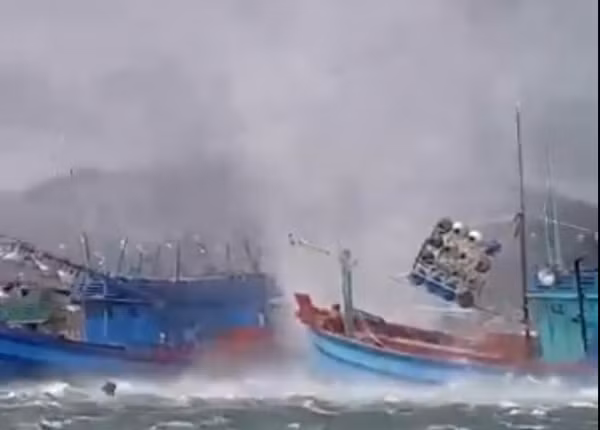 Video: Voi rong khong lo xuat hien o Phu Quoc, nhan chim tau ca