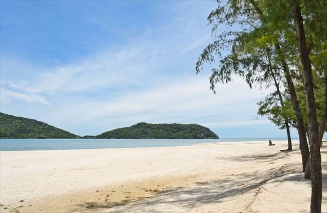 Nếu đến đây vào buổi trưa, cảnh tượng lấp lánh bên trong hang thu hút ngay ánh nhìn đầu tiên của du khách. Khi ánh nắng mặt trời lọt xuống hang động, chiếu vào từng ngóc ngách của cung điện này, mọi thứ sáng rực cả lên trông rất đẹp.