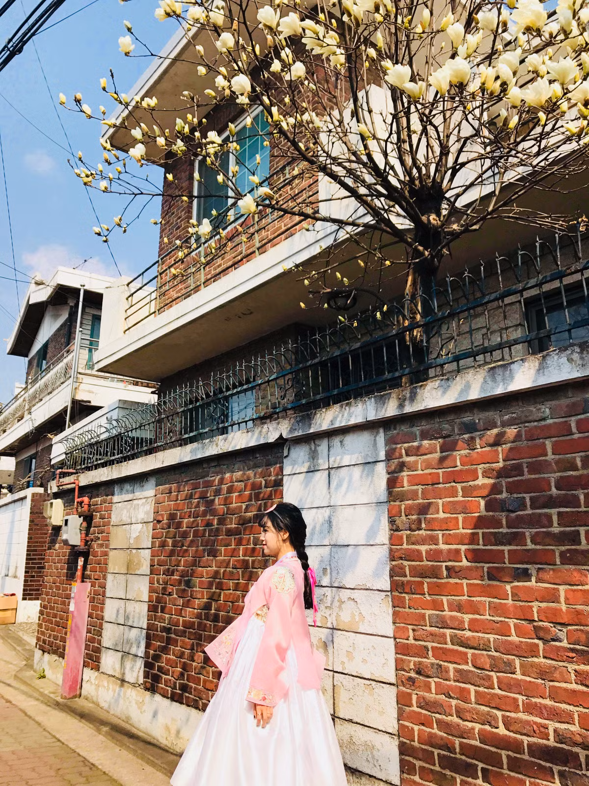 Hoa mộc lan, loài hoa với vẻ đẹp lộng lẫy, quý phái và thanh cao. Mộc lan còn thể hiện lòng nhân từ, quảng đại, hay còn có ý nghĩa là "phục sinh". Nếu ai đem lòng yêu mến tặng bạn một nhành hoa mộc lan thì đó chính là họ thể hiện lòng ngưỡng mộ đối với bạn. Ảnh: Đồng Thu.