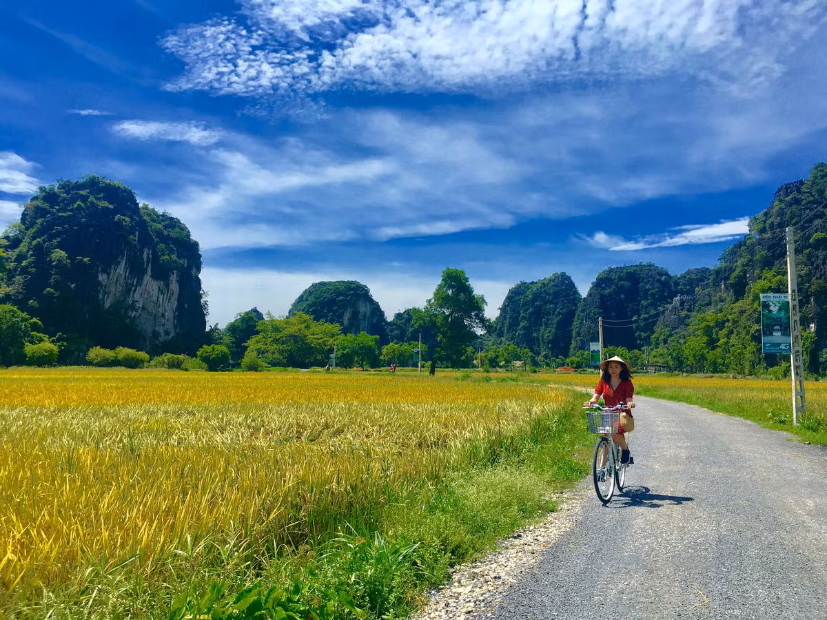 Do nằm giữa những dãy núi đá vôi nhiều hình thù và dòng sông len lỏi nên khung cảnh mùa lúa chín ở Ninh Bình có vẻ đẹp rất riêng. Những ngày qua giới trẻ nô nức về đây để "săn lúa chín".