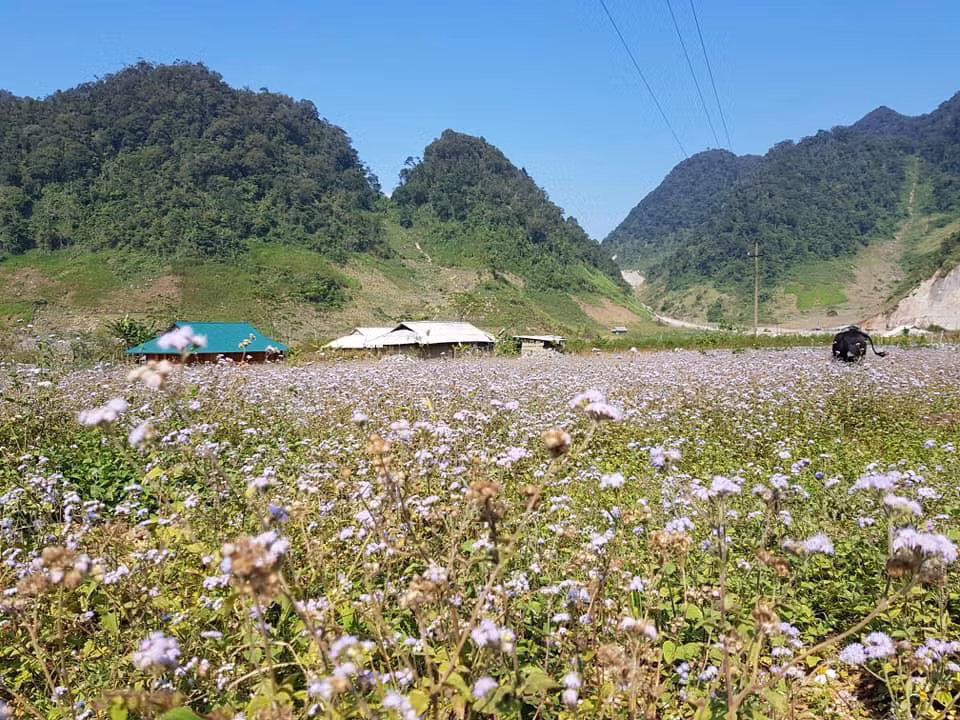 Hầu hết các công dân sinh sống ở xã Hang Kia là bà con người dân tộc Mông. Những công dân hiếu khách nhất đất Tây Bắc này luôn mở rộng cửa đón khách. Những ngôi nhà gỗ của bà con nằm thấp thoáng dưới tán vườn đào, vườn mận, yên bình đến nao lòng. Đến đây bạn có thể ghé thăm bất cứ gia đình nào. Gia chủ sẵn lòng mời bạn ở lại dùng bữa cơm với gia đình. Nơi này từng được biết đến là vùng đất của "tử thần" vì tệ nạn buôn bán ma túy. Mấy năm gần đây, nạn buôn bán đã giảm hẳn, bà con người Mông đã biết làm du lịch để đón khách.