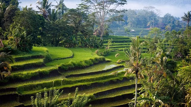 Dân FA đi du lịch một mình nhất định đừng bỏ qua 10 gợi ý này - Hình 7 Dan FA di du lich mot minh nhat dinh dung bo qua 10 goi y nay-Hinh-7