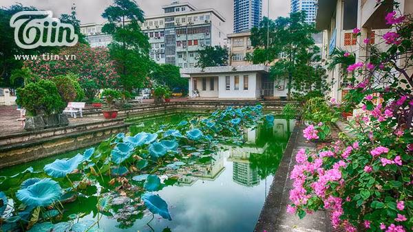Khung canh lang man dep den kho tin cua dai hoc Quoc gia Ha Noi-Hinh-2
