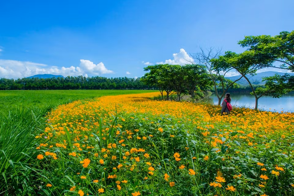 Da Lat tinh het nac trong bo anh cua cap doi 9X me phuot-Hinh-5